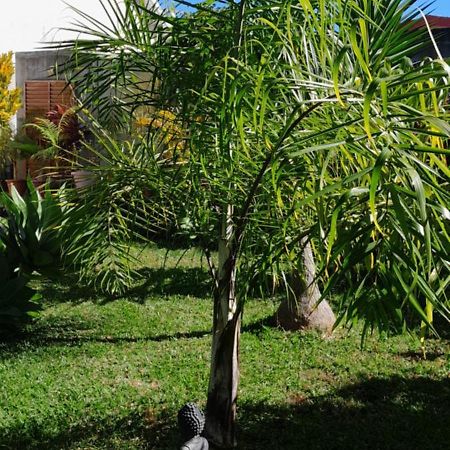 Villa Kaz A Nine Saint Pierre Esterno foto